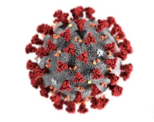 Covid-19 coronavirus