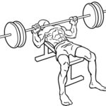 barbell bench press